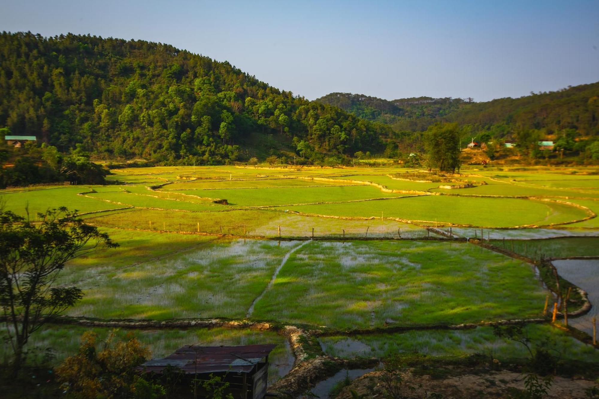 Homestay Nha Trong Ban - Mang Den Kon Von Kla