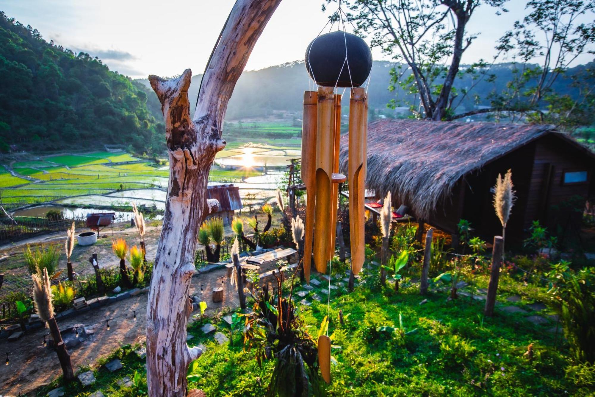 Nha Trong Ban - Mang Den