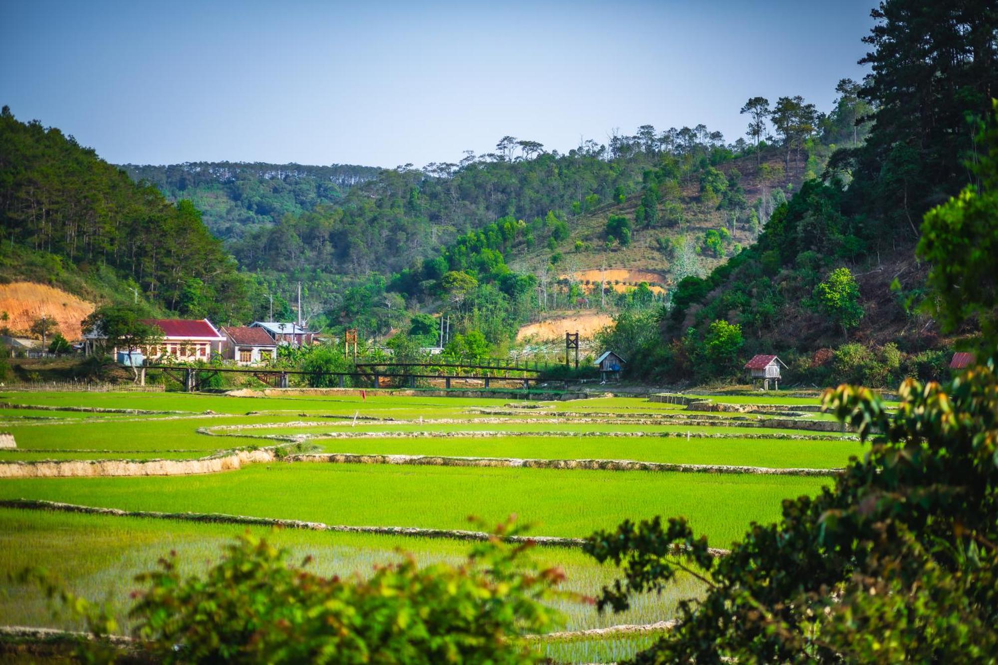 Nha Trong Ban - Mang Den * Kon Von Kla